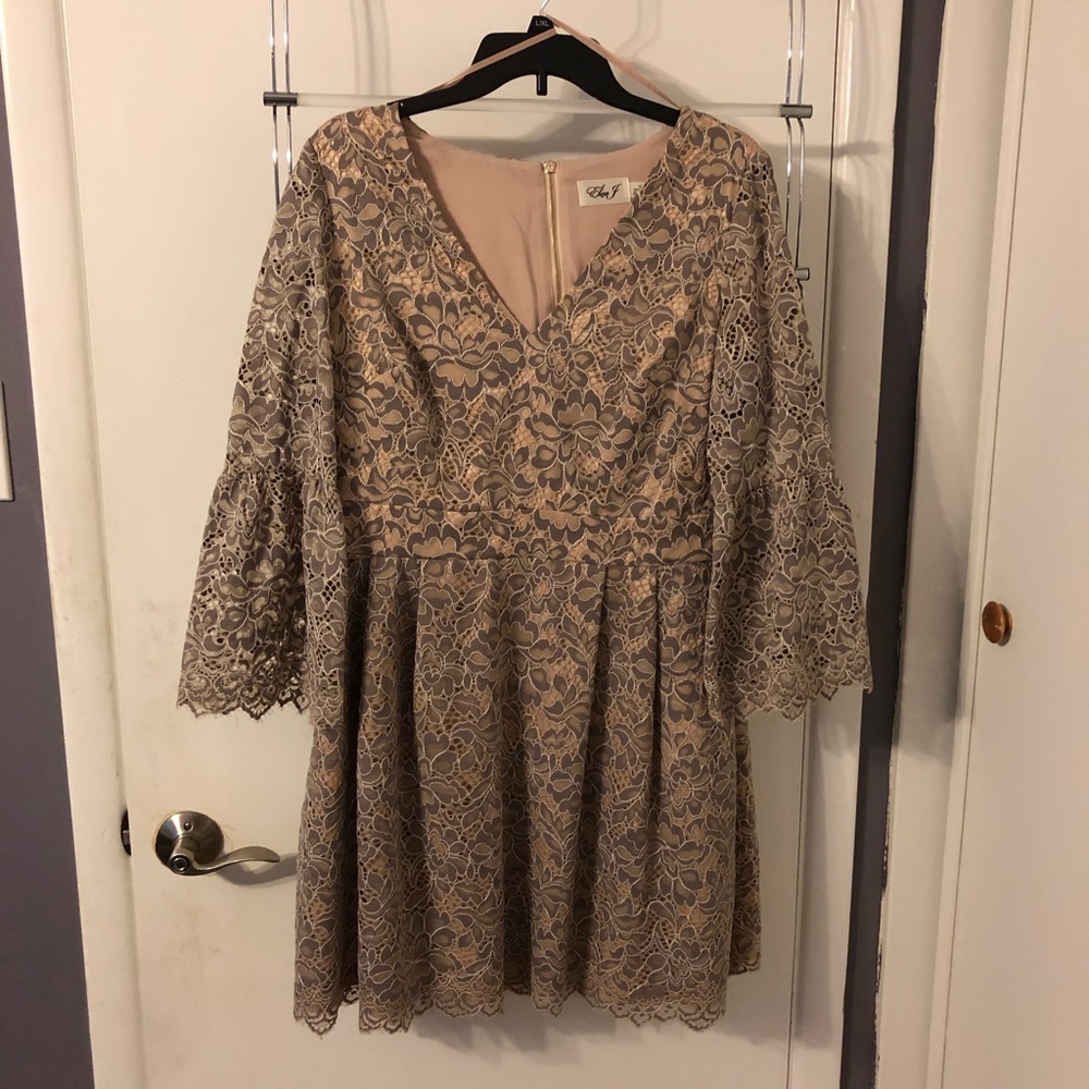 Eliza J Nude and Grey Lace Fit and Flare Dress
